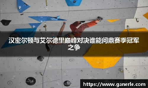 汉密尔顿与艾尔德里巅峰对决谁能问鼎赛季冠军之争