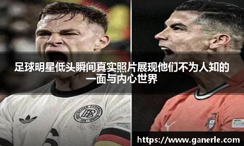 雷火电竞官方网站入口